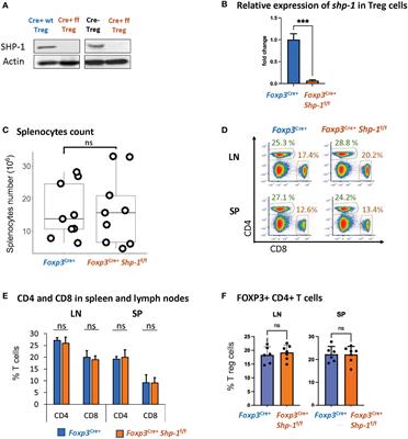 Treg-specific deletion of the phosphatase SHP-1 impairs control of inflammation in vivo